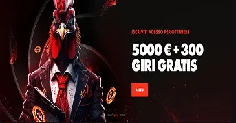 Rooster Bet Casino